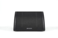2-WAY 12" ACTIVE COAX STAGE MONITOR WEDGE, PRECISE DISPERSION PATTERN, LINEAR PHASE FIR FILTERS